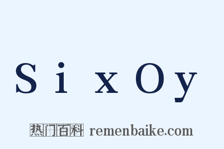 SixOy是什么意思的图片